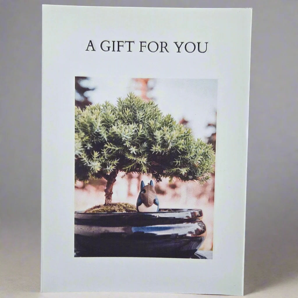Gift Options